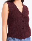 WARM CIDER SWEATER VEST